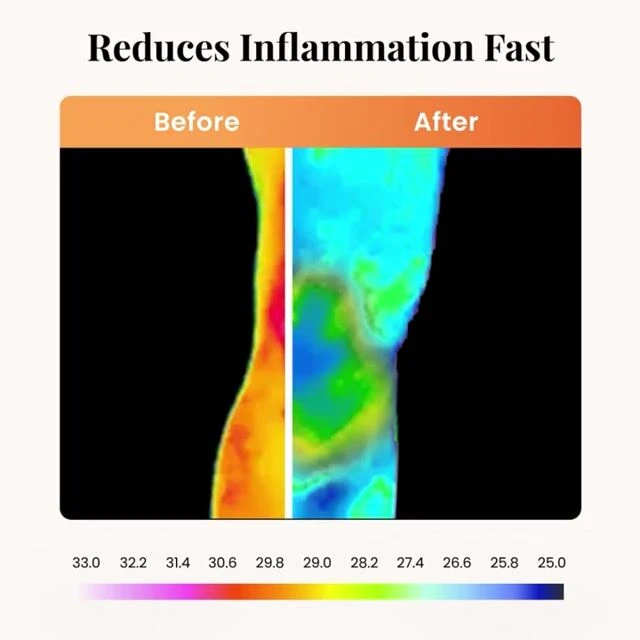 WellaBack image